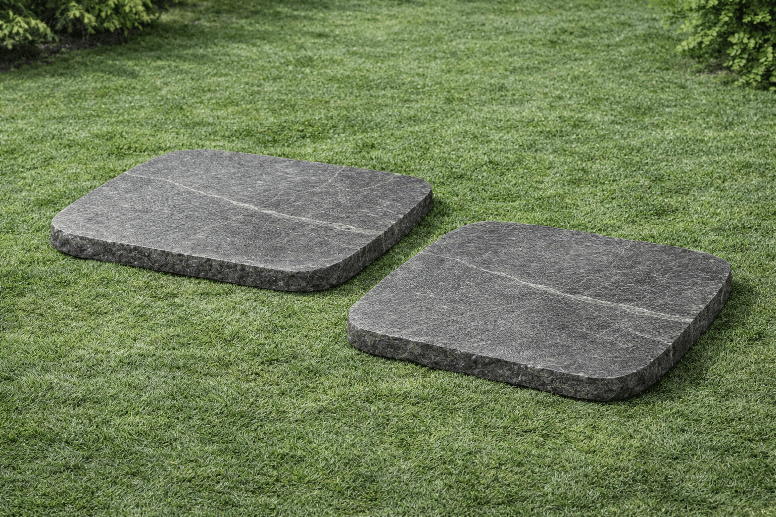 Kota Black Stepping showcase 1